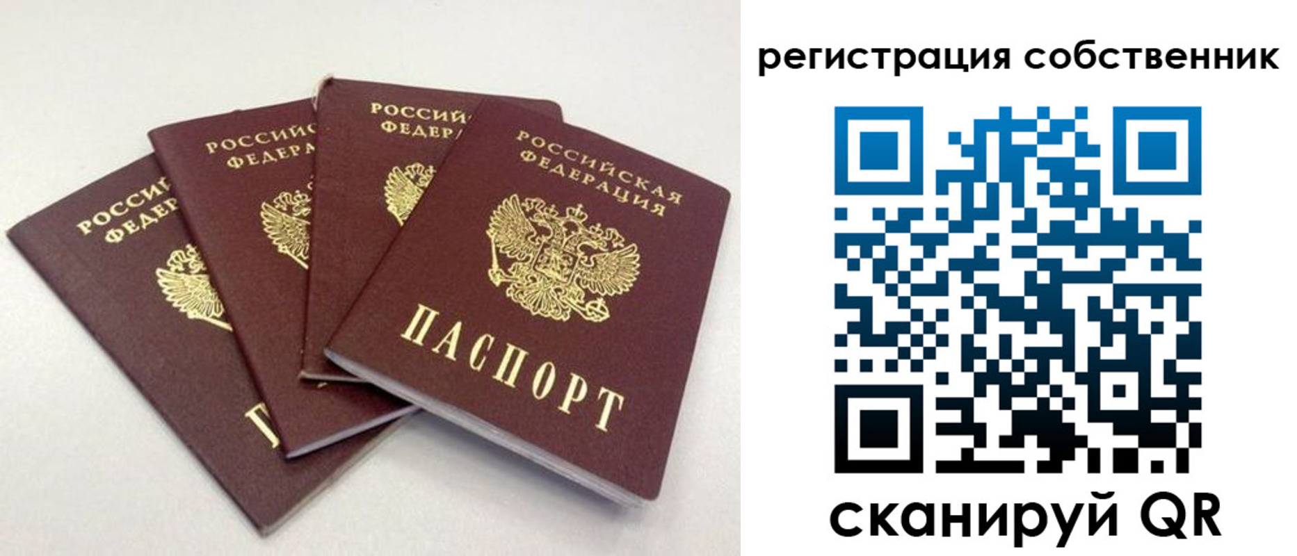 прописка для школы в Славгороде